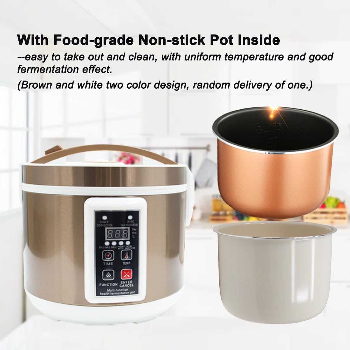 6L Black Garlic Fermenter Mult - Health & Wellness Unlimited review and price